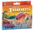 Triassic Triops - Vajíčka a krmení pro vlastní chov